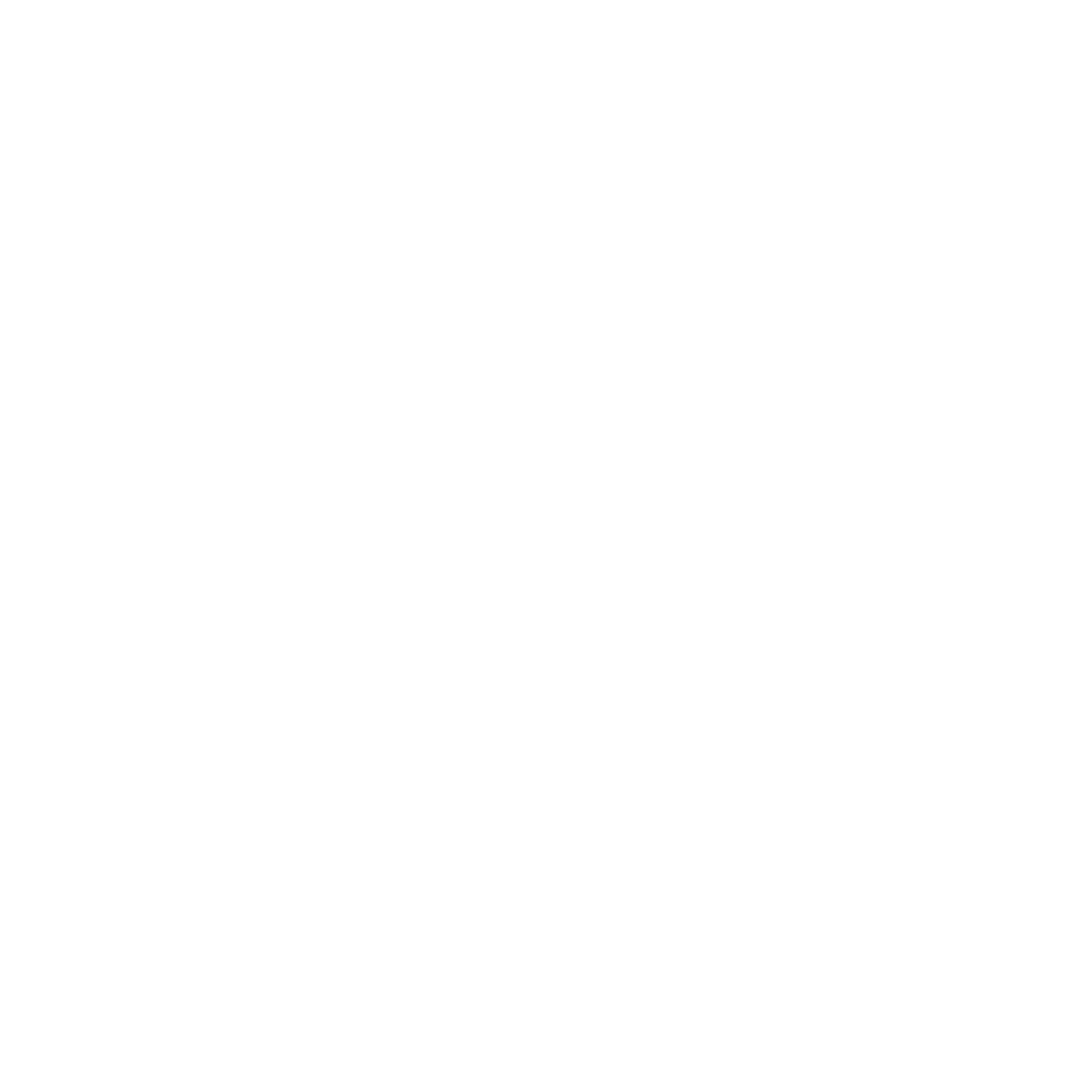 TLRP Logo - White